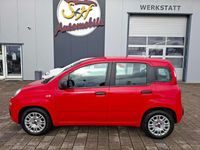 Gebraucht Fiat Panda Easy 69 PS (50 kW) 2017 Colore esterno (bartolini rot) Kleinwagen