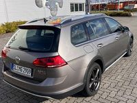 Brugt VW Golf Alltrack 189 HK (139 kW) 2015 Andere farben Stationcar