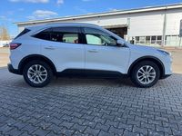 Używany Ford Kuga Titanium 152 KM (111 kW) 2021 Biały SUV
