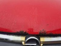 Gebraucht Opel Corsa Elegance 75 PS (55 kW) 2003 Kleinwagen