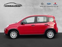 Gebraucht Fiat Panda 69 PS (50 kW) 2024 Rot Kleinwagen