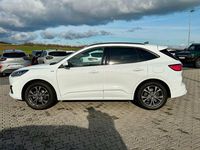 Gebraucht Ford Kuga ST-Line X 150 PS (110 kW) 2021 Frozen white SUV