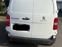 Gebraucht Peugeot Expert 120 PS (88 kW) 2024 Weiß Van