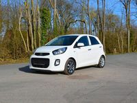 Gebraucht Kia Picanto 67 PS (49 kW) 2016 Weiß Kleinwagen