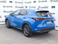 Gebraucht Lexus NX450h+ Business Edition 309 PS (227 kW) 2025 Blau SUV