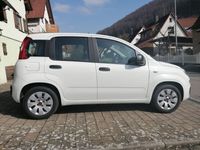 gebraucht Fiat Panda 1.2 8V