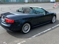 gebraucht Audi A5 Cabriolet 3.0 TDI 180kW S tr. quat. -