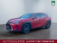 Gebraucht Lexus UX 250h Launch Edition 145 PS (106 kW) 2019 Rot SUV