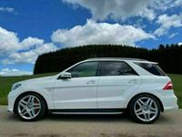 Mercedes Ml63 Amg Gebraucht Kaufen 114 Autouncle