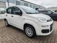 Usata Fiat Panda Easy 69 CV (50 kW) 2020 Bianco Utilitaria
