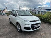 Neu Fiat Panda 69 PS (50 kW) 2025 Weiß Limousine