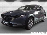 Gebraucht Mazda CX-30 Selection 122 PS (89 kW) 2021 Grau SUV