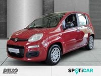 Neu Fiat Panda Icon 65 PS (47 kW) 2026 Rot Kleinwagen