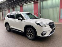 Gebraucht Subaru Forester Comfort 150 PS (110 kW) 2024 Weiß SUV