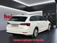 Gebraucht Skoda Octavia Style 150 PS (110 kW) 2023 Candyweiss Kombi
