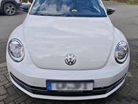 Gebraucht VW Beetle CLUB 105 PS (77 kW) 2016 Weiß Kleinwagen