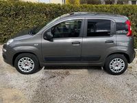 Gebraucht Fiat Panda Easy 69 PS (50 kW) 2019 Beige Kleinwagen
