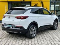 Gebraucht Opel Grandland X GS Line 131 PS (96 kW) 2024 Jade weiß SUV