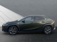 Gebraucht Lexus UX 250h Sport Line 184 PS (135 kW) 2023 Grün SUV