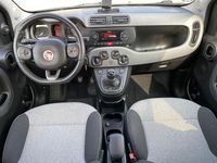Gebraucht Fiat Panda Lounge 69 PS (50 kW) 2017 Grau Kleinwagen
