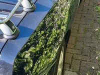 Gebraucht Alfa Romeo Spider 155 PS (114 kW) 1999 Schwarz Cabrio