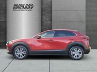 Gebraucht Mazda CX-30 Selection 150 PS (110 kW) 2021 Andere SUV