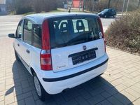 Gebraucht Fiat Panda Active 54 PS (39 kW) 2009 Weiß Kleinwagen