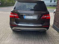 Gebraucht Mercedes ML350 260 PS (191 kW) 2014 Braun SUV