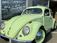 Gebraucht VW Käfer 95 PS (69 kW) 1956 Limousine