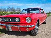 Gebraucht Ford Mustang GT 202 PS (148 kW) 1965 Rot Coupé