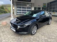 gebraucht Mazda CX-30 Selektion M-Hybrid Automatik