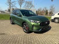 Neu Ford Kuga ST-Line X 243 PS (178 kW) 2026 Grün SUV