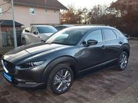 Gebraucht Mazda CX-30 Center-Line 140 PS (102 kW) 2025 Grau SUV