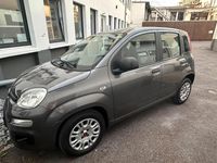 Gebraucht Fiat Panda Easy 69 PS (50 kW) 2017 Grau Kleinwagen