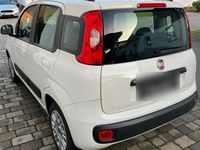 Gebraucht Fiat Panda 69 PS (50 kW) 2012 Weiß Kleinwagen