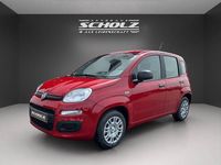Neu Fiat Panda 69 PS (50 kW) 2025 Rot Kleinwagen