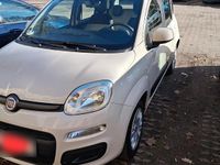 Gebraucht Fiat Panda 2012 Beige Kleinwagen