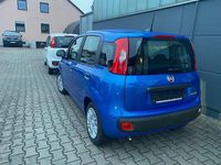 Gebraucht Fiat Panda Pop 71 PS (52 kW) 2024 Blau Limousine
