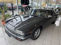 Gebraucht Jaguar XJS 295 PS (216 kW) 1985 Grau