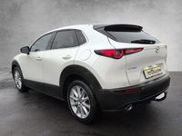 Gebraucht Mazda CX-30 Selection 179 PS (131 kW) 2020 Satinweiß SUV