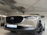 Gebraucht Mazda CX-30 Homura-Line 140 PS (102 kW) 2026 Zircon sand SUV