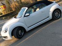 gebraucht VW Beetle Cabrio "Cup" Käfer