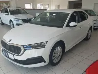 Gebraucht Skoda Octavia Active 110 PS (80 kW) 2022 Weiß Limousine