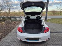 Gebraucht VW Beetle Design 105 PS (77 kW) 2012 Weiß Kleinwagen