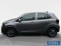 Neu Kia Picanto Vision 68 PS (50 kW) 2025 Grau Kleinwagen
