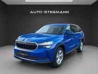 Gebraucht Skoda Kodiaq Selection 150 PS (110 kW) 2025 Blau SUV