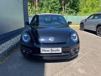Gebraucht VW Beetle Cabriolet Edition 177 PS (130 kW) 2019 Cabrio