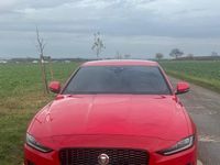 Gebraucht Jaguar XE R-Dynamic 250 PS (183 kW) 2019 Rot Limousine