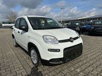 gebraucht Fiat Panda 1.0 #Tech Paket #Klima