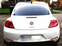 gebraucht VW Beetle 1.2 TSI Automatic Pano Leder Fender-HiFi